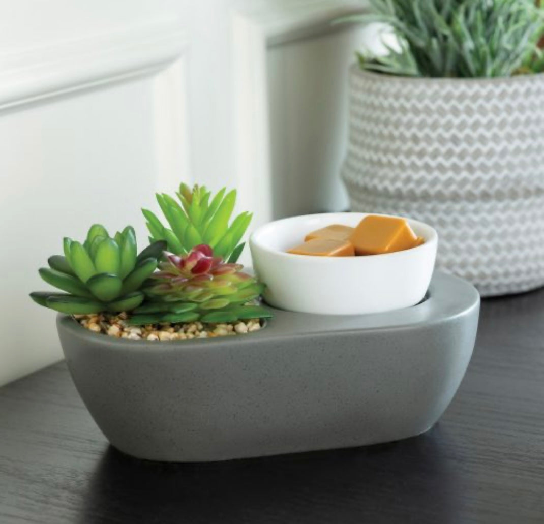Succulent Wax Warmer